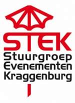 logo-stek
